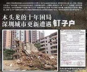 最新爆料木头龙正式开拆,正式开拆，揭秘背后惊人真相